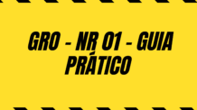 Guia Prático para Elaboração do PGR da NR-1